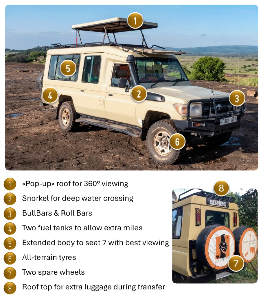 Tanzania photographic safari with Endelevu tours