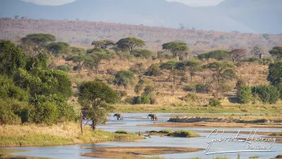 Ruaha National Park by Gabriel Haering