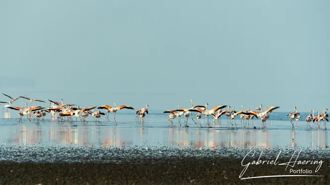 Photographic Safari Lake Natron Tanzania