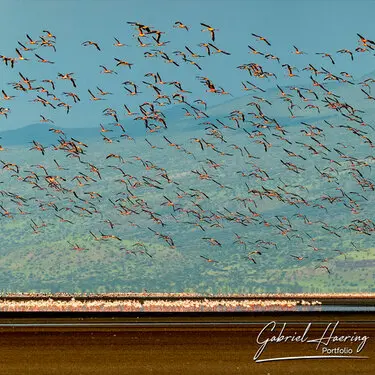 Photographic Safari Lake Natron Tanzania