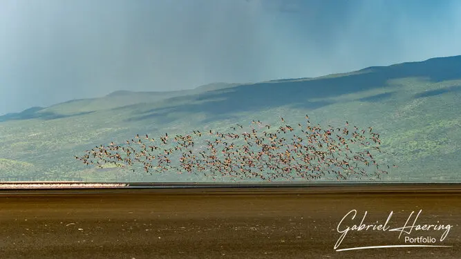 Photographic Safari Lake Natron Tanzania