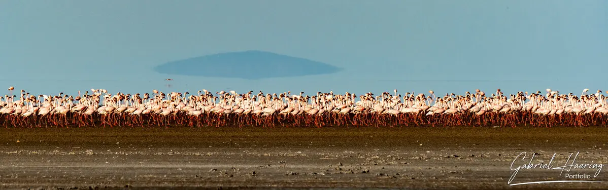 Photographic Safari Lake Natron Tanzania