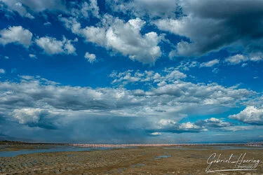 Join us in a unique photographic safari visiting  Lake Natron in Tanzania combined with Tarangire and Ngorongoro