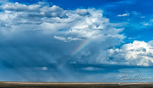Join us in a unique photographic safari visiting  Lake Natron in Tanzania combined with Tarangire and Ngorongoro