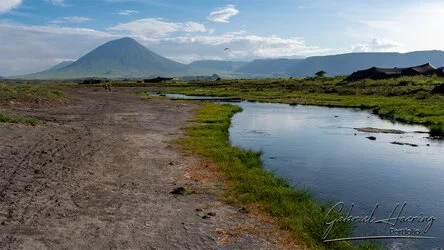 Join us in a unique photographic safari visiting  Lake Natron in Tanzania combined with Tarangire and Ngorongoro