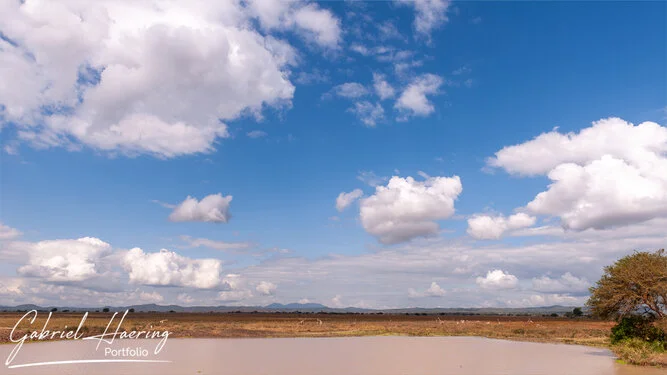 Join us in a unique photographic safari in Mikumi National Park in southern Tanzania combined with Nyerere and Ruaha National Park