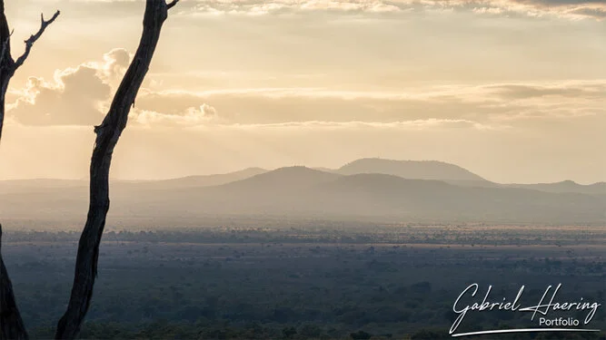 Join us in a unique photographic safari in Mikumi National Park in southern Tanzania combined with Nyerere and Ruaha National Park