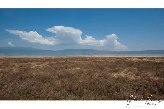 Photo Safari Ngorongoro Tanzania