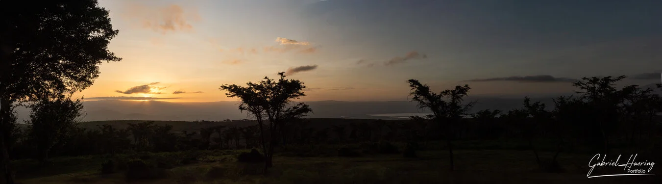Join us in a unique photogaphic safari visiting Ngorongoro , Tarangire and Serengeti great migration in Tanzania
