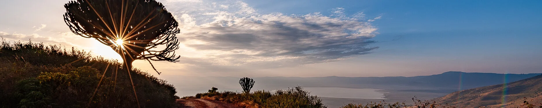 Join us in a unique photogaphic safari visiting Ngorongoro , Tarangire and Serengeti great migration in Tanzania