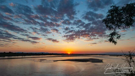 Join us in a unique photogaphic safari in Nyerere (former Selous Game Reserve) in southern Tanzania combined with Ruaha National Park