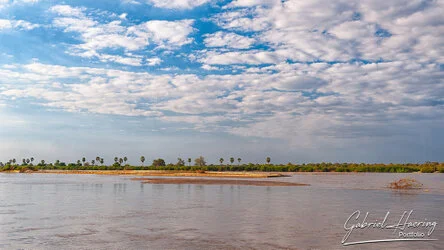 Join us in a unique photogaphic safari in Nyerere (former Selous Game Reserve) in southern Tanzania combined with Ruaha National Park