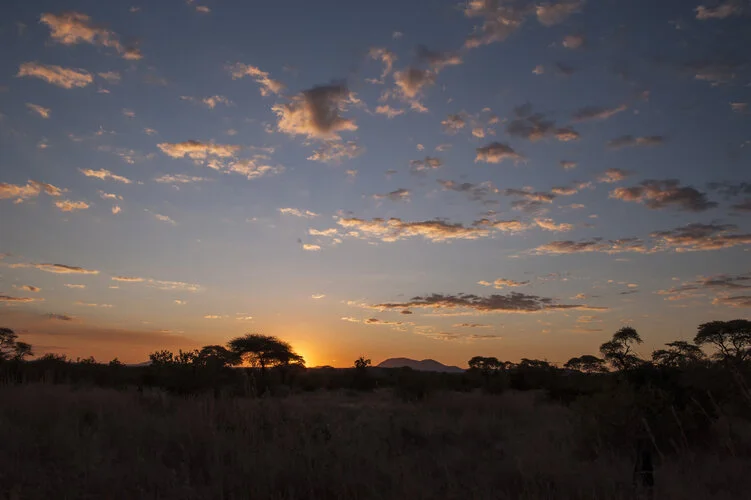 Join us in a unique photogaphic safari in Ruaha Natioanl Park in southern Tanzania combined with Nyerere (Selous) National Park