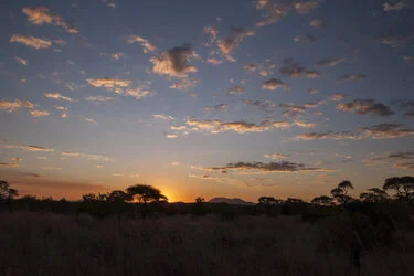 Join us in a unique photogaphic safari in Ruaha Natioanl Park in southern Tanzania combined with Nyerere (Selous) National Park