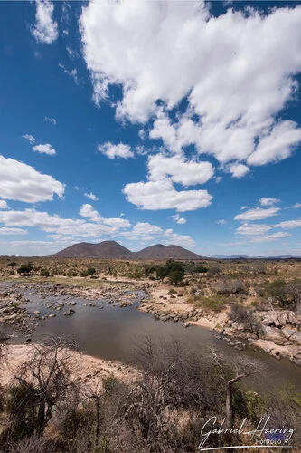 Join us in a unique photogaphic safari in Ruaha Natioanl Park in southern Tanzania combined with Nyerere (Selous) National Park