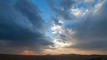 Join us in a unique photogaphic safari visiting  Serengeti great migration in Tanzania combined with Tarangire and Ngorongoro
