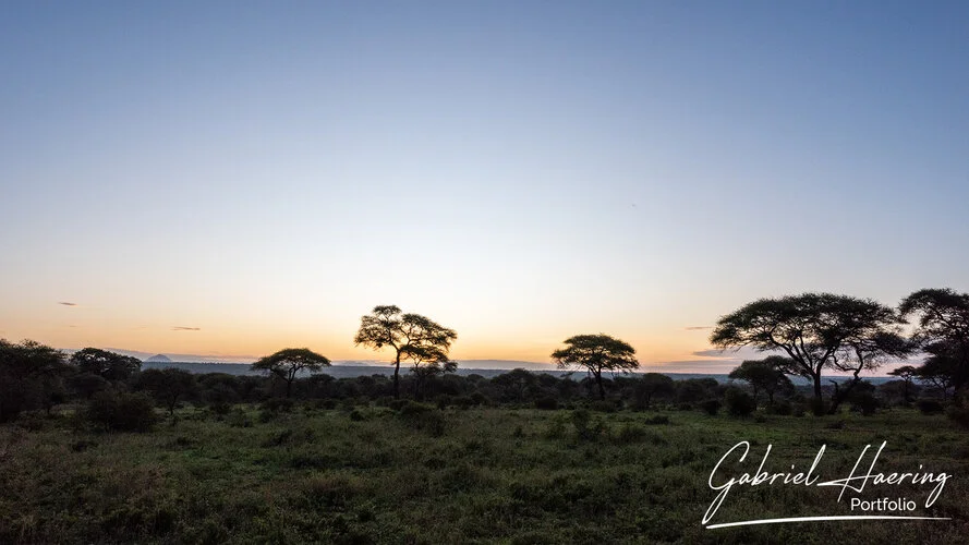 Photo Safari Tarangire combined with Ngorongoro and Serengeti in Tanzania
