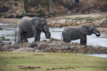 Southern Tanzania Selous Photographic Safari