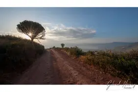 photo safari in Tanzania : Ngorongoro crater