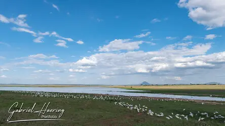 Photo safari in Tanzania visiting Tarangire National Park