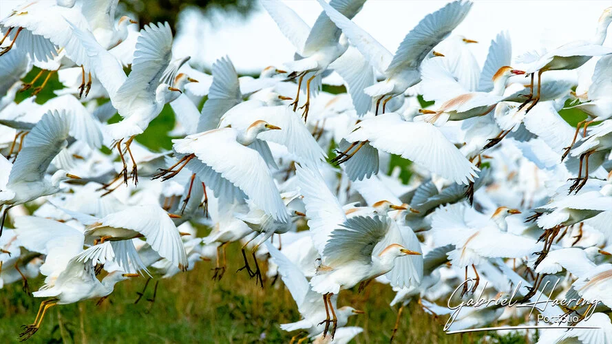 Bird watching Photo Safari Tanzania